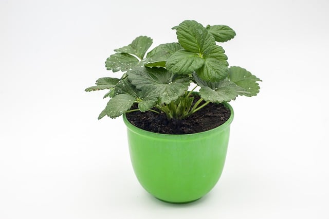 스텐냄비찌든때 쉽게 제거하는 방법