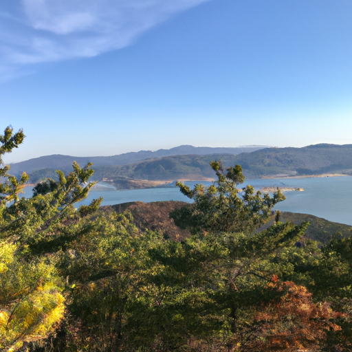 윷놀이 규칙 알아보고 재미있게 즐기기