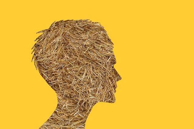 인스타 새로고침 오류 해결방법 알아두기