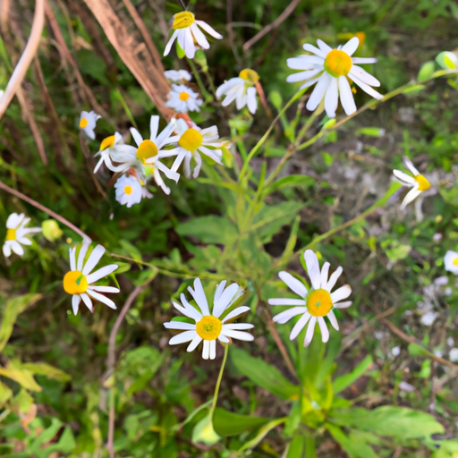 융융소금 효능 효과와 용융소금 정확한 명칭 확인