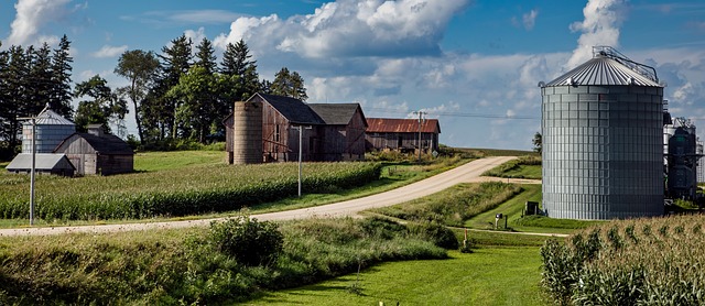 곡물통 써야 하는 이유 및 장점 알아보기