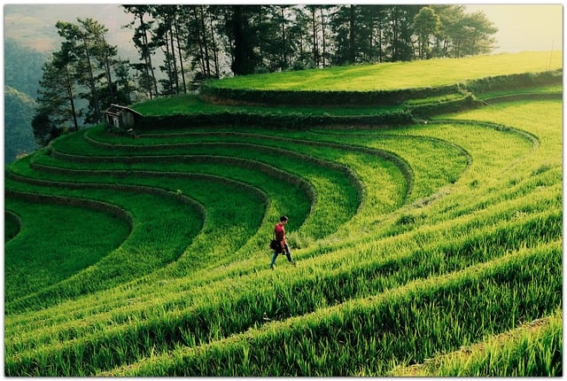 거위털 오리털 차이 확실하게 확인하는 방법