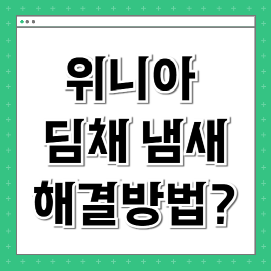 위니아 딤채 냄새