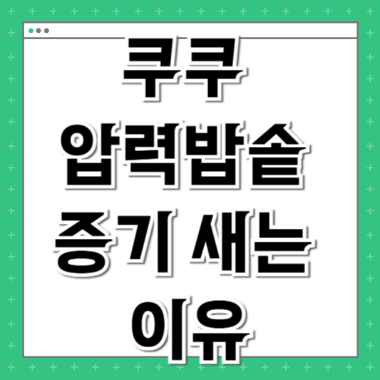 쿠쿠 압력밥솥 증기 새는 이유